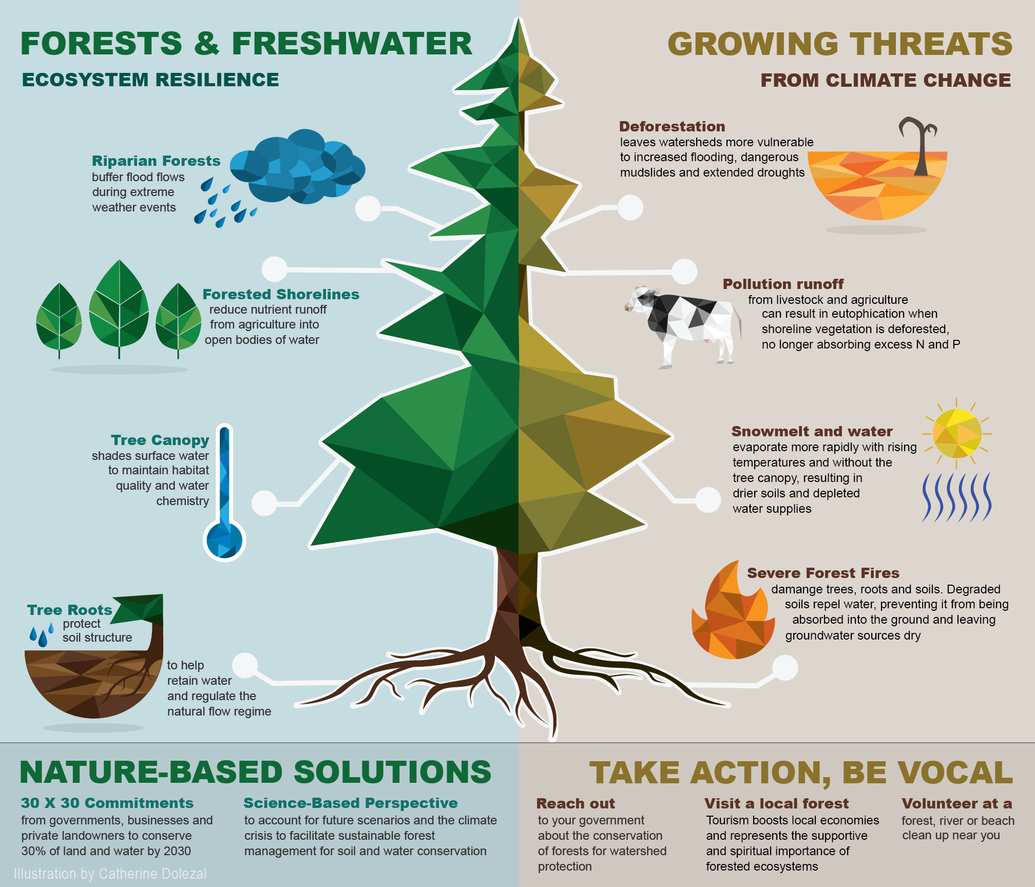 Infographic showing how forests and fresh-water ecosystems are related to global environmental threats.